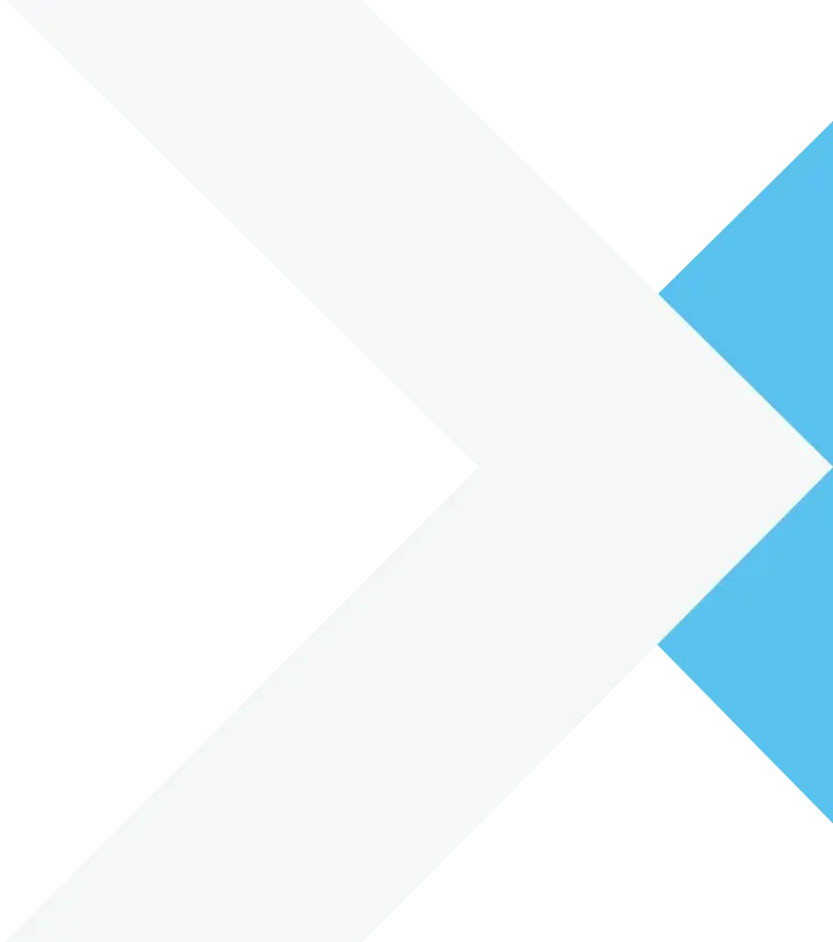 shape-x shape-x